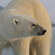 peter72