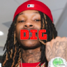 Dig0606