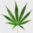 Calikushgaming