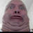 CHAZ31088