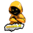 ggreals1995