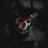 mathias.kulas41@