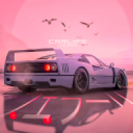 carlifeexperimen