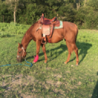 bloccstar.rico