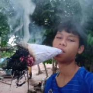 tonipt