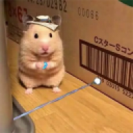 Gatsu