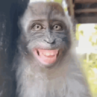 adrianosdp1