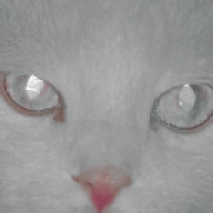 miklio