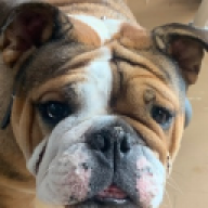 johnob