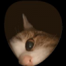 AsylantenCeo