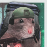 Squacele