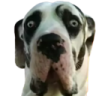 Fofosefu
