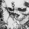 LuckyVII777-