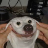 Noahhh