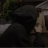 Kenshirotzy