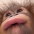 Klumzzy