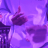 hydeax00
