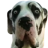Fofosefu