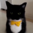 samuthepro0009